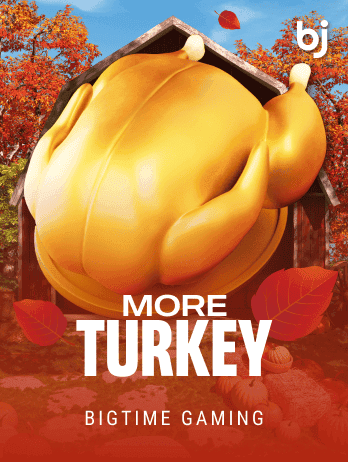 More Turkey icon